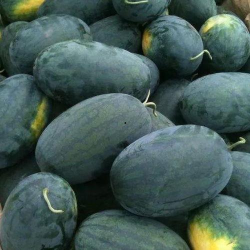 北京摄影泉吃瓜,揭秘京城美食背后的“吃瓜”故事