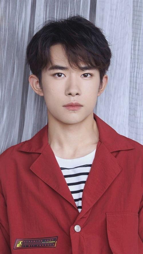 戴假发的男明星有哪些,揭秘戴假发的男明星风采