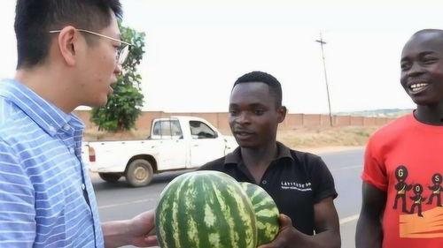 黑人吃脆瓜的视频,趣味横生瞬间引网友热议