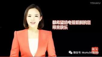 安徽卫视有什么网红,本土明星闪耀荧屏