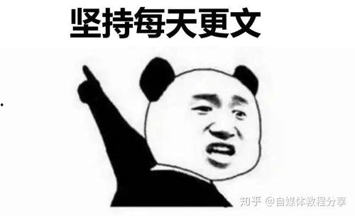 如何快速回复头条号评论,快速回复技巧解析”