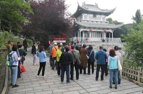 武汉市永兴镇新闻头条,聚焦乡村振兴，共话发展新篇章