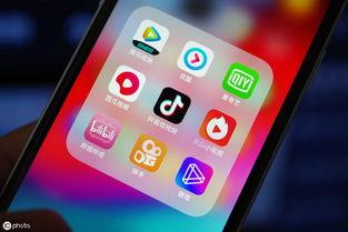 网红交易视频教程大全,全方位揭秘网红营销秘诀