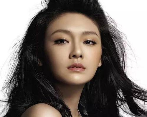 11月15明星,星光熠熠，璀璨时刻回顾