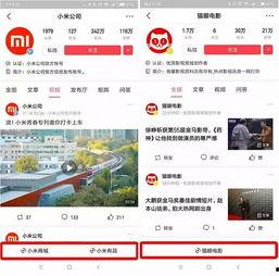 怎么拍头条小程序,如何利用“怎么拍头条”小程序高效制作精彩内容