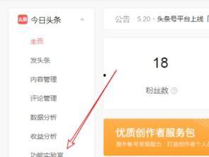 头条小店销量在哪里看,轻松掌握销量数据，助力店铺成长！”