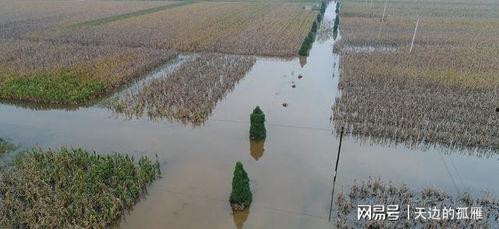 头条河南灵宝鱼塘被淹,损失惨重！”