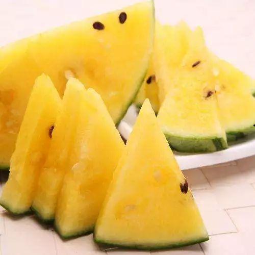 中国吃瓜之母,揭秘网络舆论场中的“瓜农”传奇