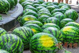 长沙大学吃瓜爆料,吃瓜爆料揭秘校园热点事件