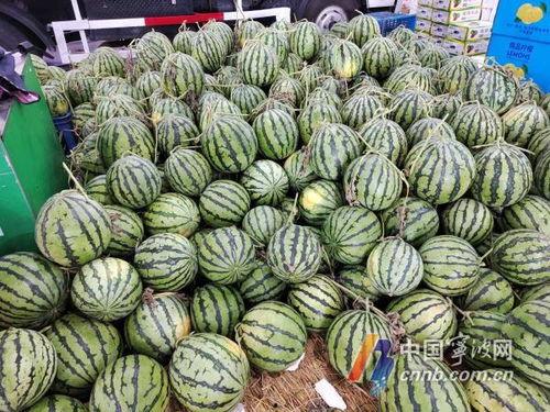 宁波健身吃瓜,汗水与瓜果的完美邂逅