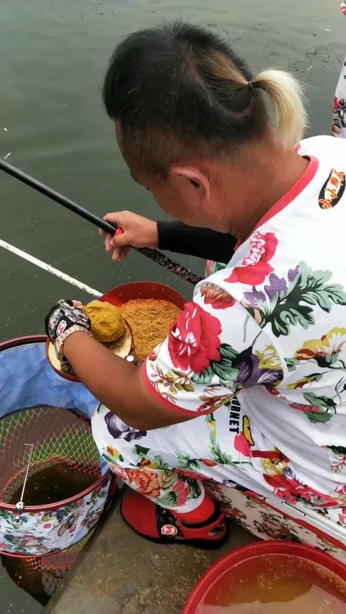 鲫瓜老师简介,揭秘教育界的璀璨明星