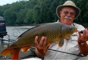 在头条买过的鲤鱼耳朵,耳朵见证品质之旅
