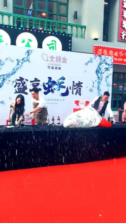 网红给粉丝的仪式感文案,情感共鸣新潮流