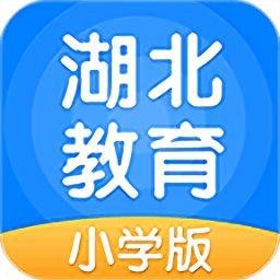 湖北小学在线上课头条,云端课堂助力教育不停歇