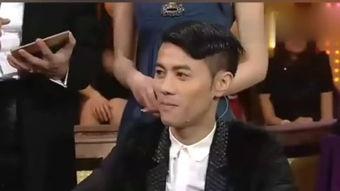 何韵诗 华丽明星赛,璀璨星光下的音乐盛宴