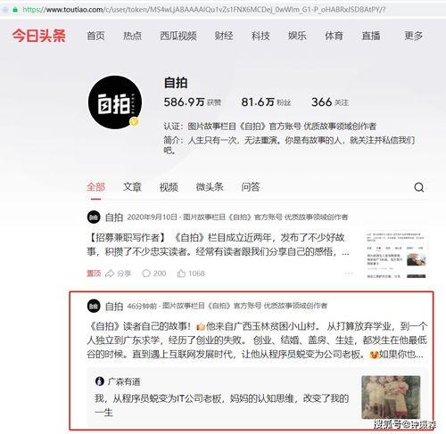 今日头条小说可以投稿吗,开启你的创作之旅