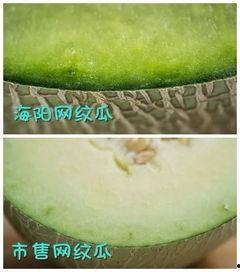 蜜瓜什么时间吃比较好,蜜瓜的最佳食用时间揭秘