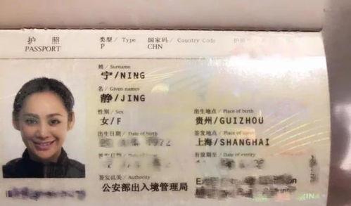 中国未改国籍明星有谁