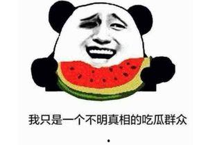 吃瓜上线什么意思