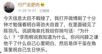 我的吃瓜指南小说,揭秘小说中的神秘瓜田