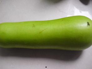 肺结节可以吃葫芦瓜吗,营养食疗新选择