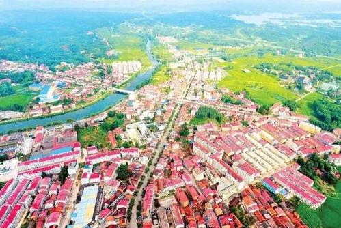 横山县月山镇新闻头条