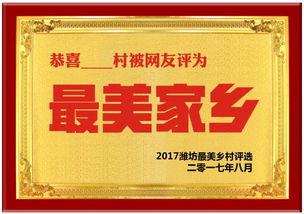 山东潍坊今日头条视频,聚焦潍坊最新动态，探寻城市魅力瞬间