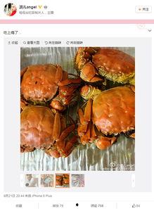 放生大闸蟹的明星是,大闸蟹回归自然家园