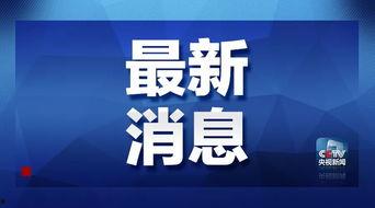 南宁龙岗命案最新爆料消息,疑点重重，案情再掀波澜