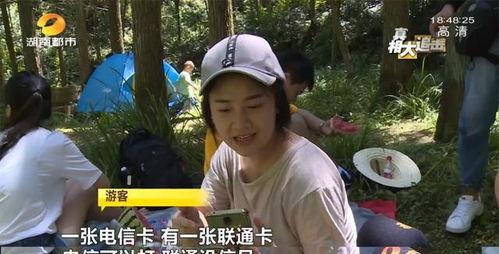 东北网红小城梁的视频,探寻梁城魅力，感受东北风情