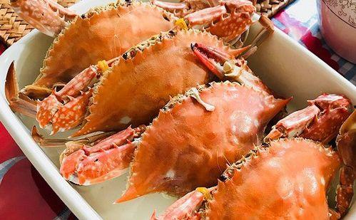 水下看蟹吃料图片大全,高清图片全景展示